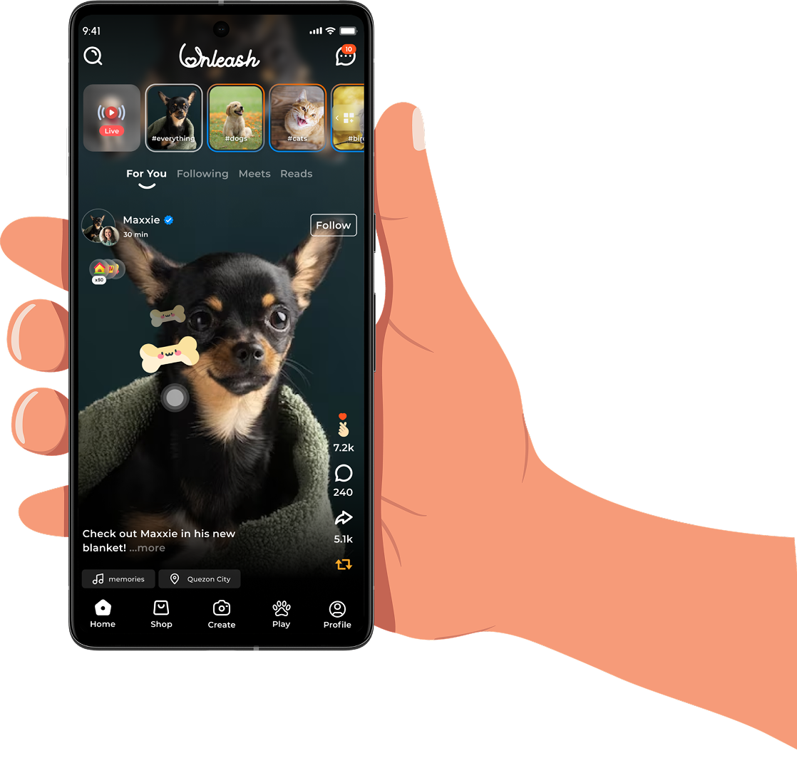 Hand holding mobile app showcasing pet care features